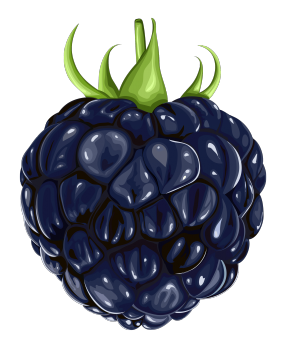 Blackberry PNG-26562